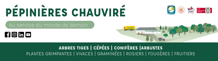 BANNIERE-SITE-INTERNET-presentation