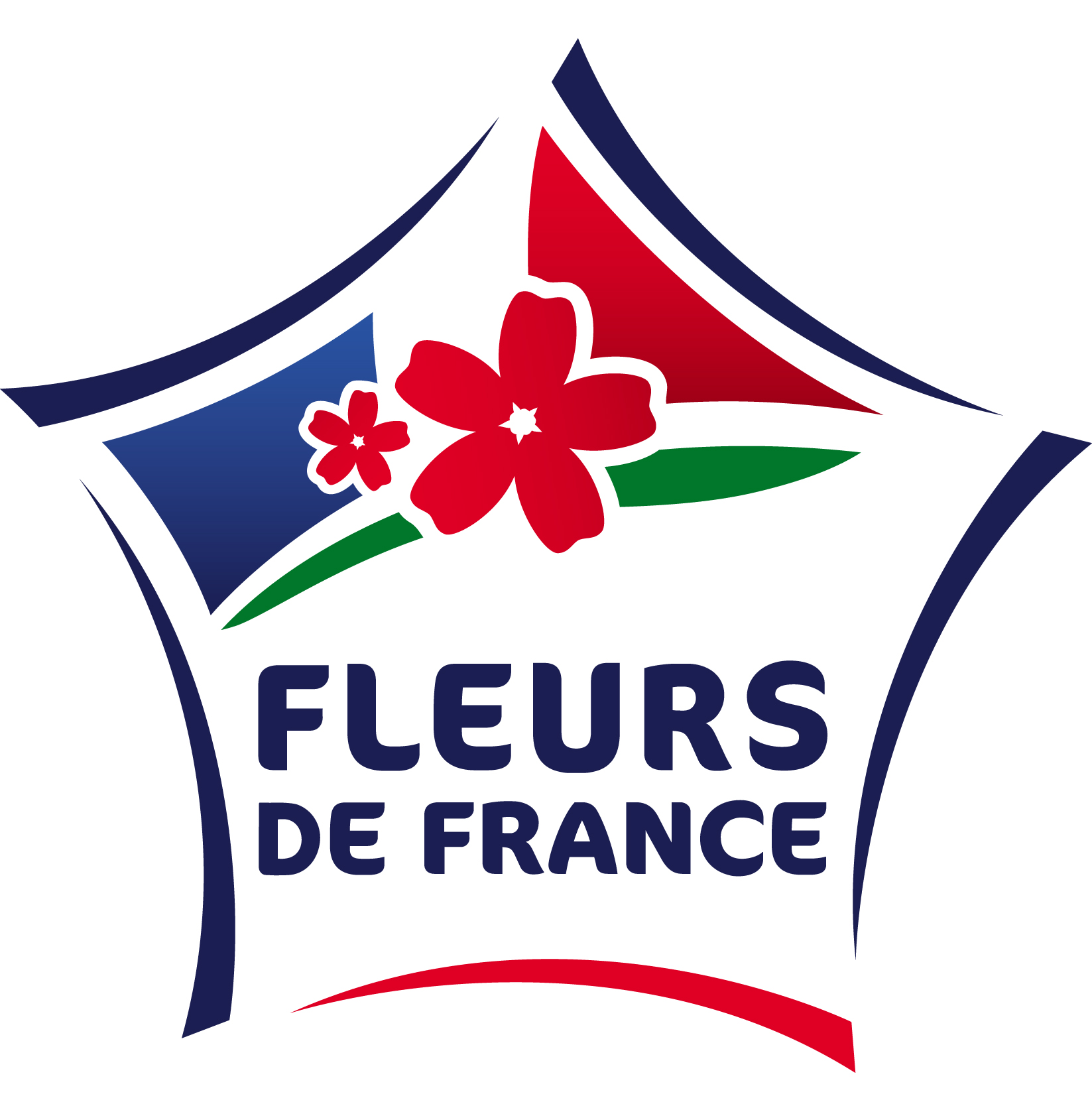 fleurs de france