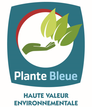 plante bleue