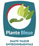 plante bleue - niveau 3