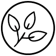 PICTOGRAMME SITE INTERNET - Feuillage