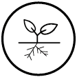 PICTOGRAMME SITE INTERNET - Système racinaire