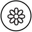 PICTOGRAMME SITE INTERNET - Couleur fleur