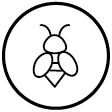 PICTOGRAMME SITE INTERNET - Mellifère
